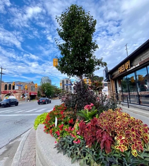 port-credit-ontario-1067x800